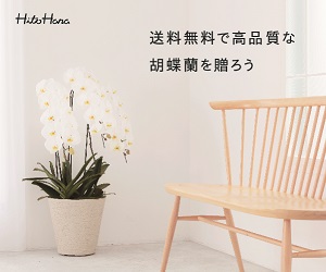 お祝いからお供えまで幅広い用途で活用される胡蝶蘭販売サイト【HitoHana】