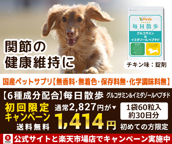 紀州犬 夏 と健康に成長する 犬用関節サプリメント