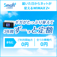 Smafi WiMAX