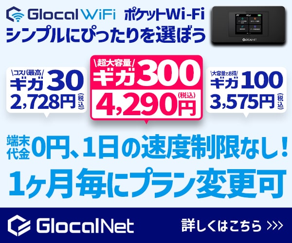 クラウドWiFi大容量プラン　動画もSNSもたっぷり堪能ギガ30プラン【Glocal WiFi】