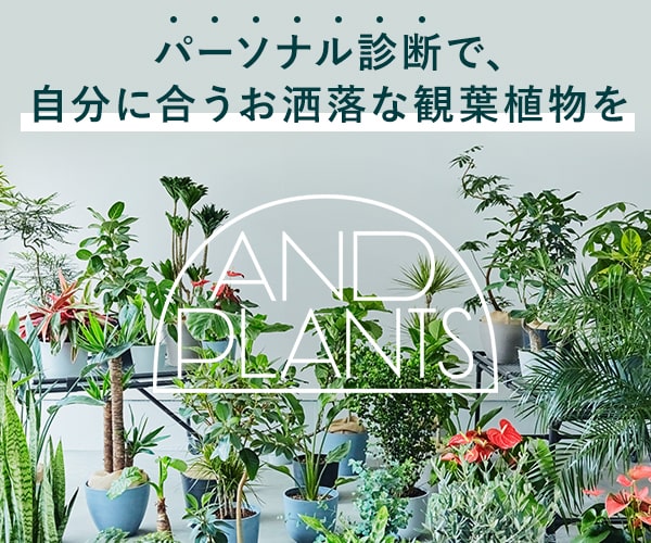【AND PLANTS】